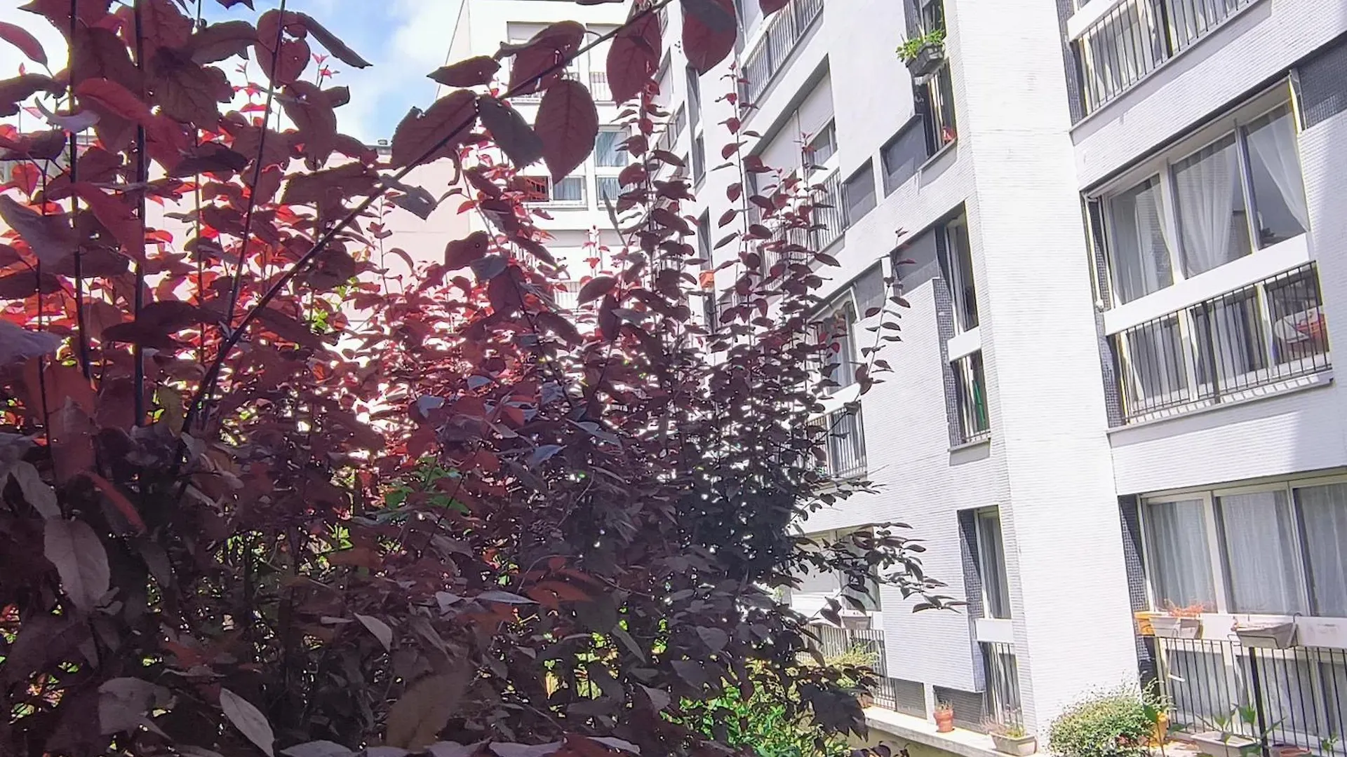 Inclusive B&B 12Min From Eiffel Tower Paris France
